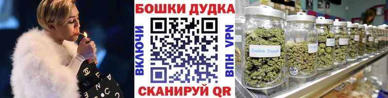 Бошки Шишки конопля Нея